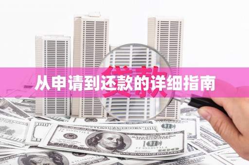 沙坪坝从申请到还款的详细指南