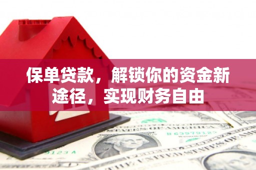 沙坪坝保单贷款，解锁你的资金新途径，实现财务自由