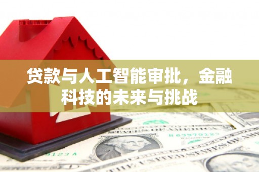 沙坪坝贷款与人工智能审批，金融科技的未来与挑战