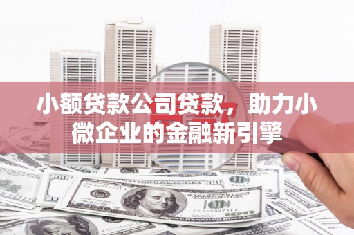 沙坪坝小额贷款公司贷款，助力小微企业的金融新引擎