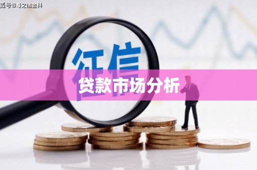 沙坪坝贷款市场分析