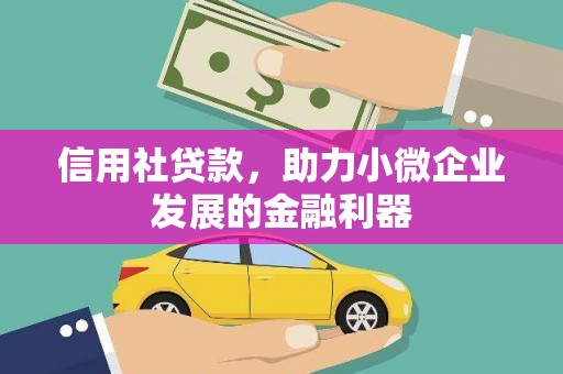 沙坪坝信用社贷款，助力小微企业发展的金融利器