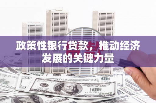 沙坪坝政策性银行贷款，推动经济发展的关键力量