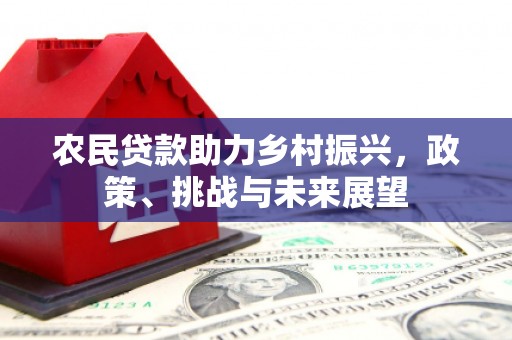 沙坪坝农民贷款助力乡村振兴，政策、挑战与未来展望