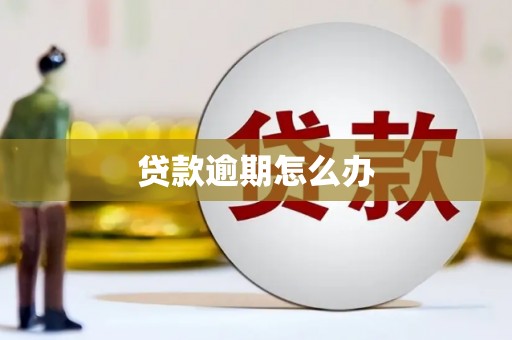 沙坪坝贷款逾期怎么办