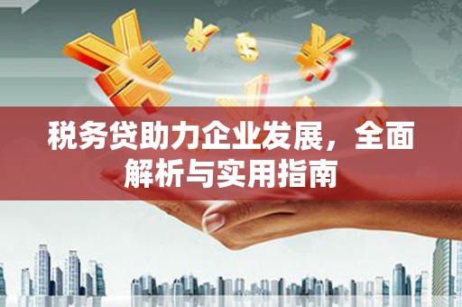 沙坪坝税务贷助力企业发展，全面解析与实用指南