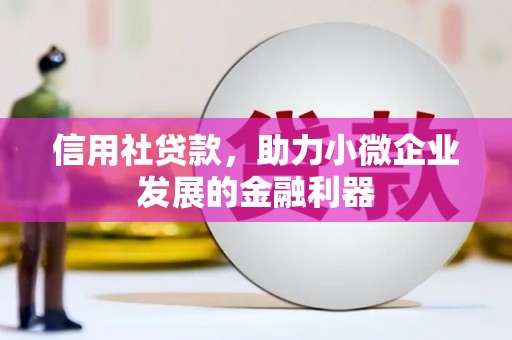 沙坪坝信用社贷款，助力小微企业发展的金融利器