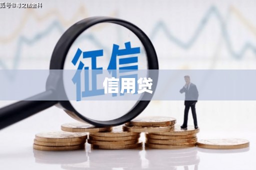 沙坪坝信用贷