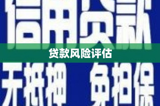 沙坪坝贷款风险评估