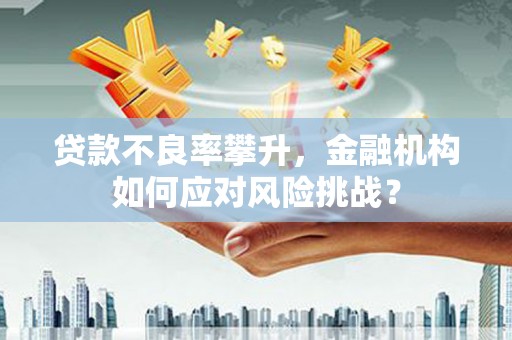 沙坪坝贷款不良率攀升，金融机构如何应对风险挑战？