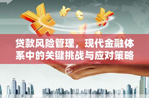 沙坪坝贷款风险管理，现代金融体系中的关键挑战与应对策略