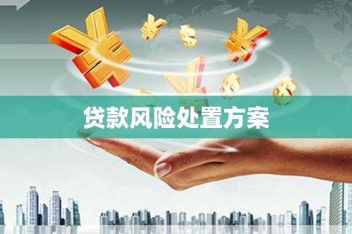 沙坪坝贷款风险处置方案