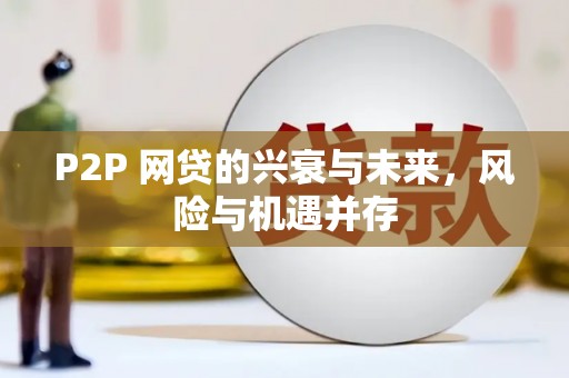 沙坪坝P2P 网贷的兴衰与未来，风险与机遇并存