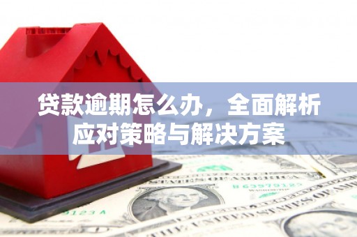 沙坪坝贷款逾期怎么办，全面解析应对策略与解决方案