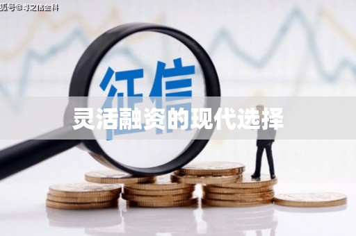 沙坪坝灵活融资的现代选择