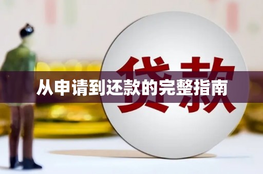 沙坪坝从申请到还款的完整指南