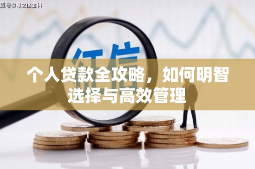 沙坪坝个人贷款全攻略，如何明智选择与高效管理