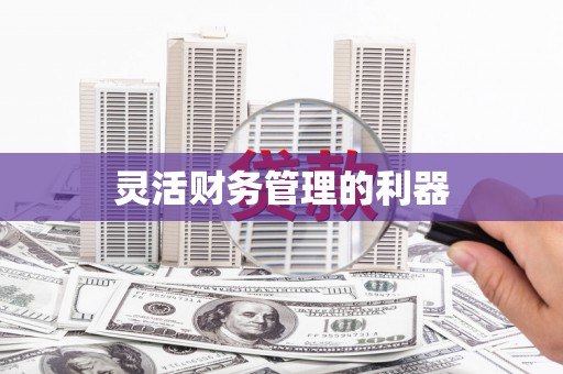 沙坪坝灵活财务管理的利器