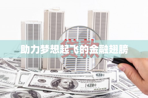 沙坪坝助力梦想起飞的金融翅膀