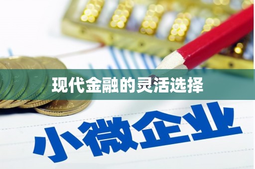 沙坪坝现代金融的灵活选择