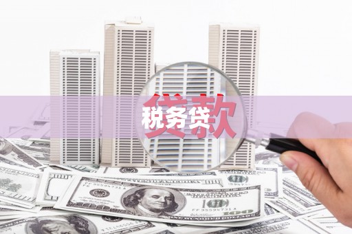 沙坪坝税务贷