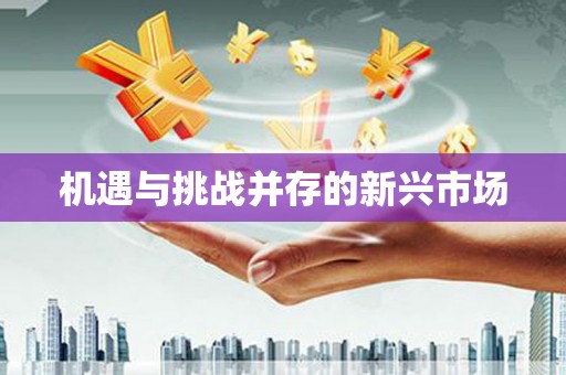 沙坪坝机遇与挑战并存的新兴市场