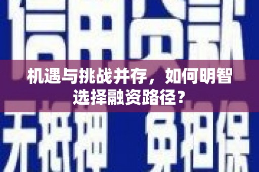 沙坪坝机遇与挑战并存，如何明智选择融资路径？