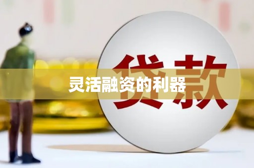 沙坪坝灵活融资的利器