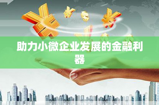沙坪坝助力小微企业发展的金融利器