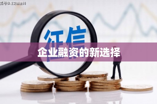 沙坪坝企业融资的新选择