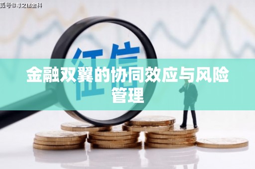 沙坪坝金融双翼的协同效应与风险管理