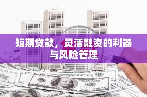 沙坪坝短期贷款，灵活融资的利器与风险管理
