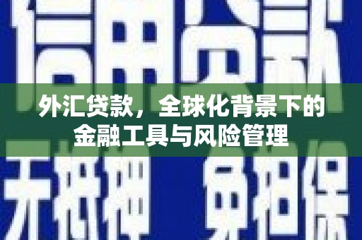 沙坪坝外汇贷款，全球化背景下的金融工具与风险管理