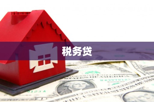 沙坪坝税务贷